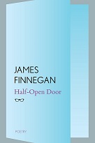 Cover of Half Open Door